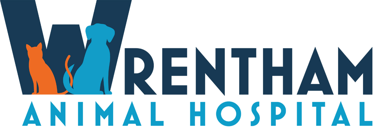 Renthman Animal Hospital logo with blue and orange pet silhouette and text