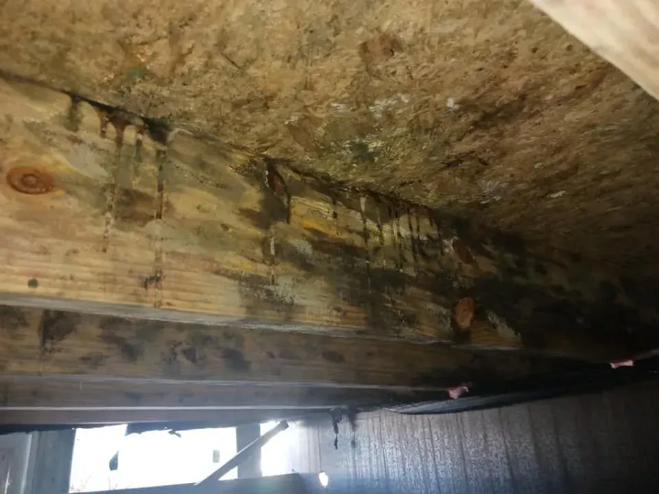Wet, stained wooden underside of a structure, possibly a deck, with dark streaks and discoloration. Wet, stained wooden underside of a structure, possibly a deck, with dark streaks and discoloration.