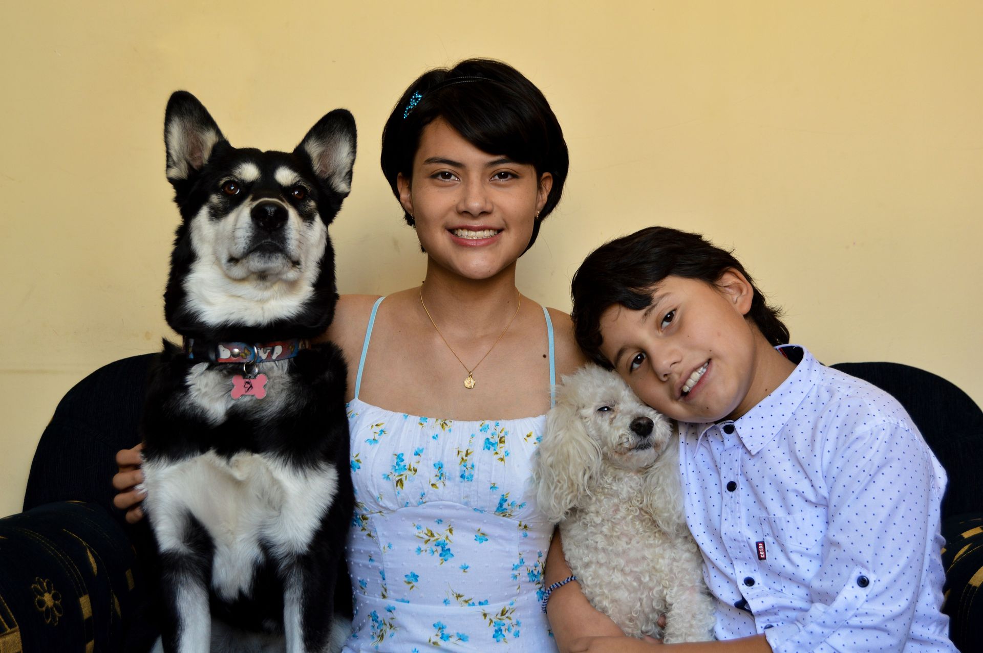 One-Hour Choosing the Dog and Breed for Your Lifestyle
