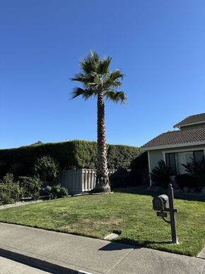 A young woman is holding a spray bottle in a greenhouse.