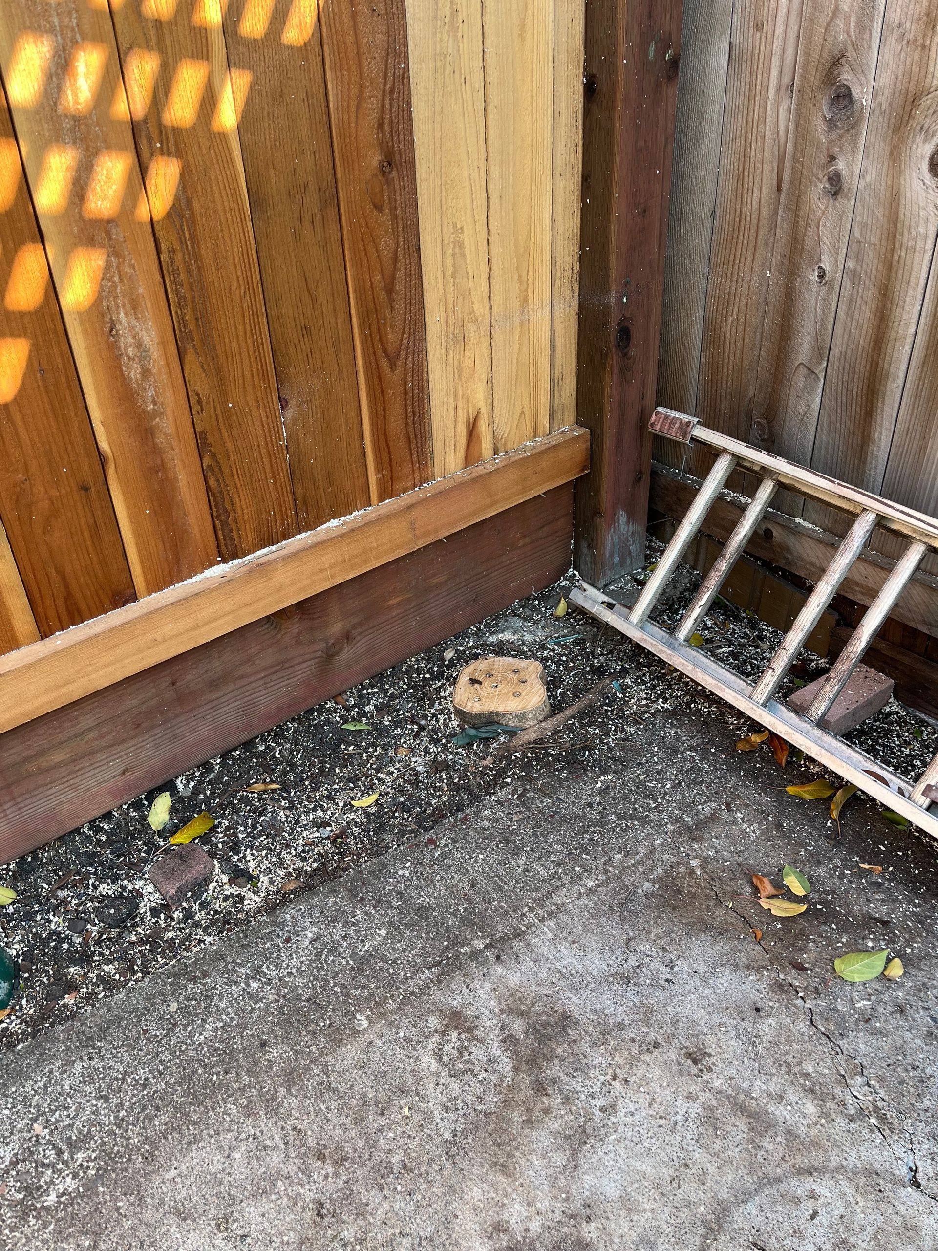 Corner of a wooden fence with spilled birdseed on the ground and a small ladder.