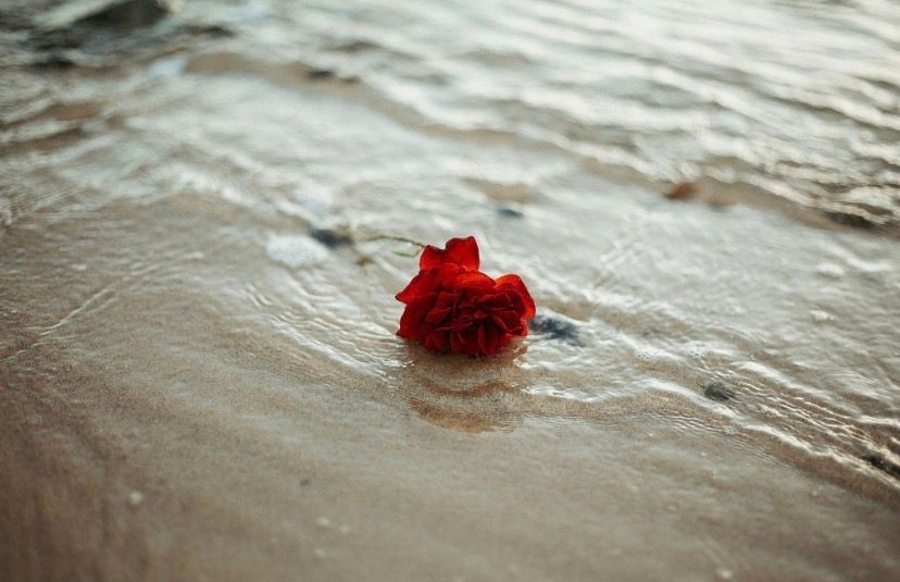 A Sun Is Setting Over The Beach — Vedic Meditation & Coherence Personal Counselling in Coffs Harbour, NSW
