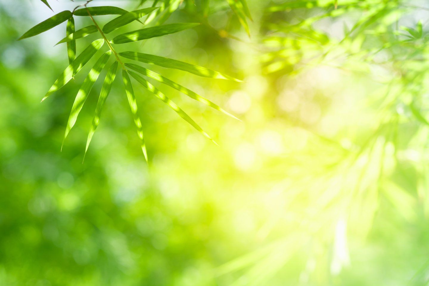 Smaltimento dei rifiuti