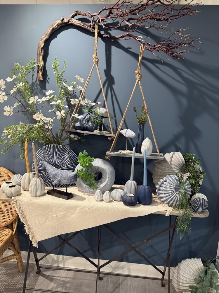 Decorative display of hanging planters, driftwood, and shells on a small table with beige cloth and blue wall backdrop