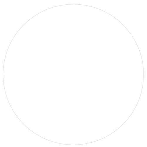 A white circle with a gray outline on a white background.