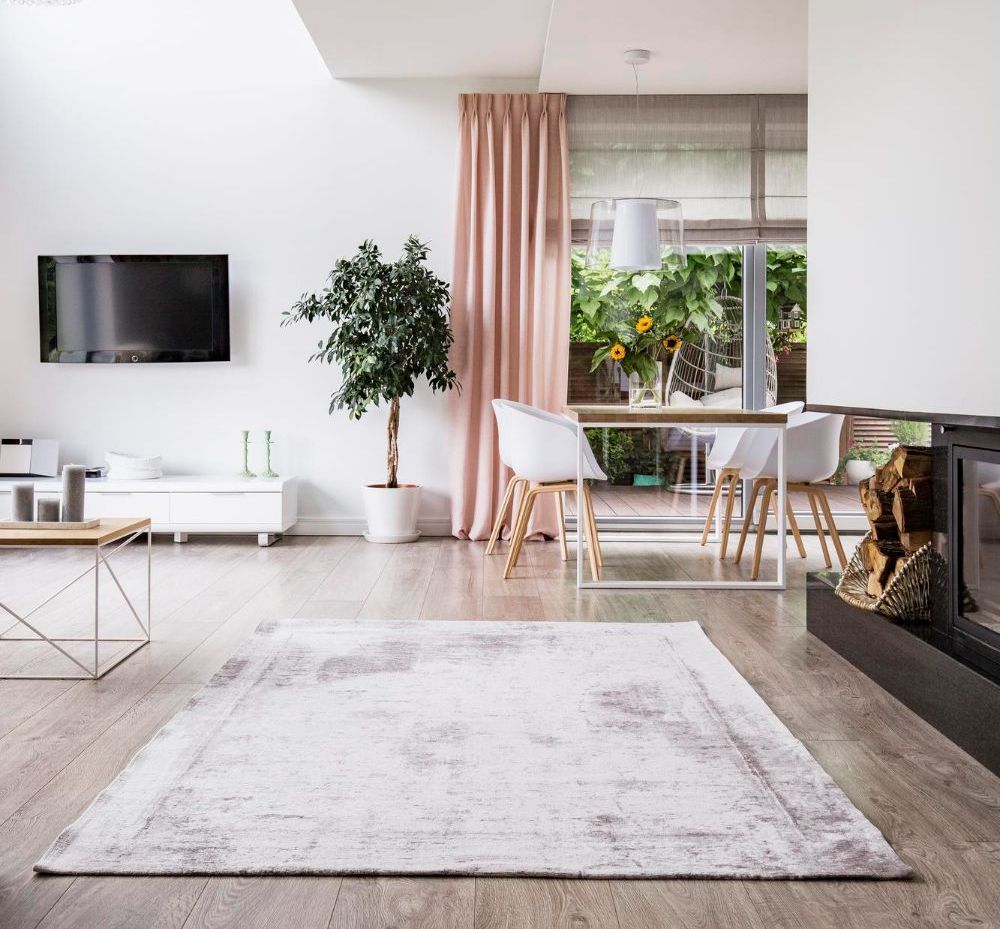 home inspector carson city