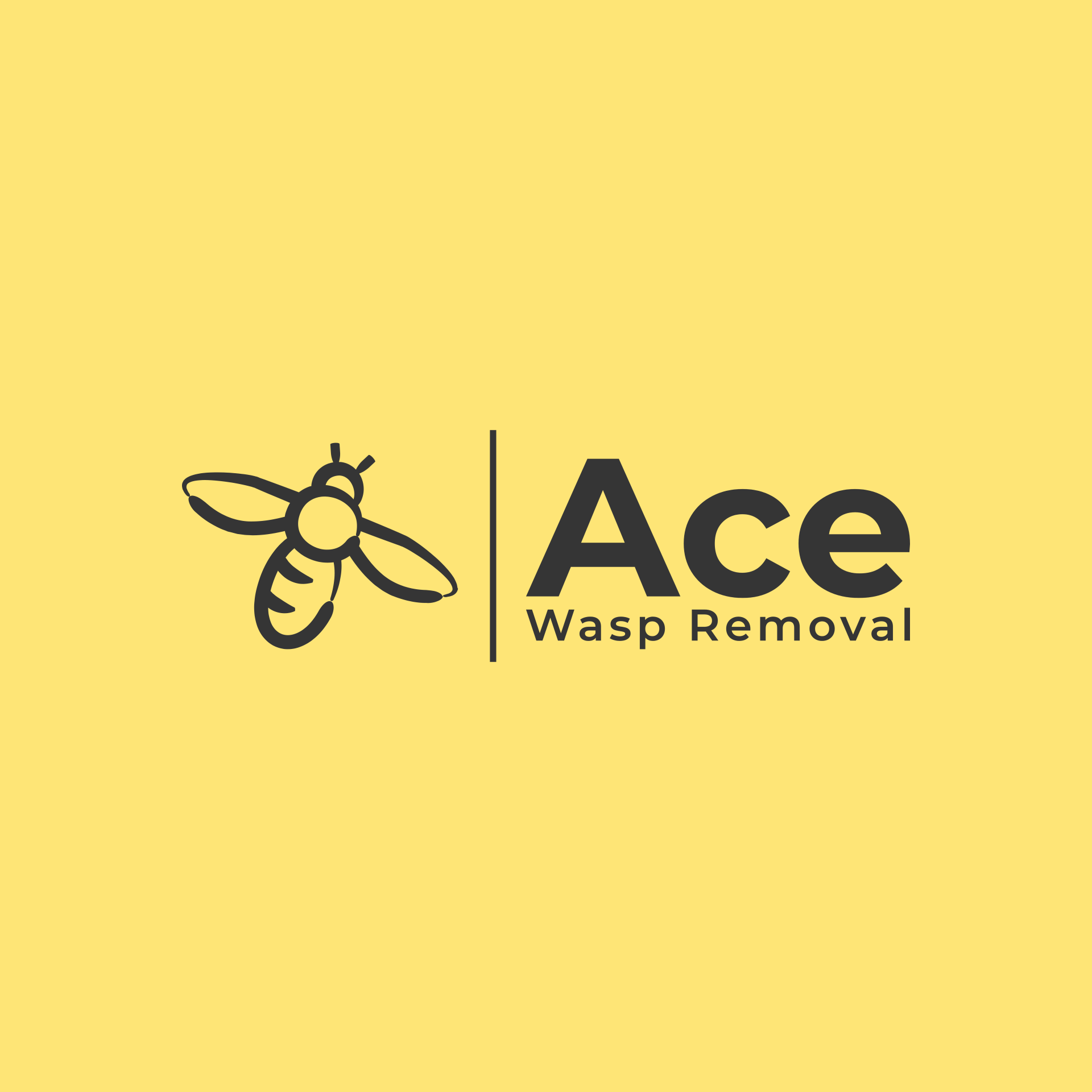 Logo Ace Wasp Removal and Pest Control