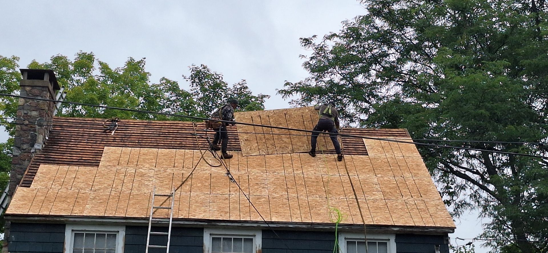 Image showing the Cedar Shake roof, with all new plywood replacement