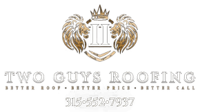 2 Guys Roofing