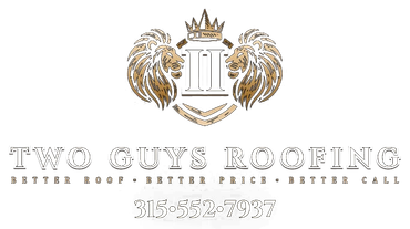 2 Guys Roofing