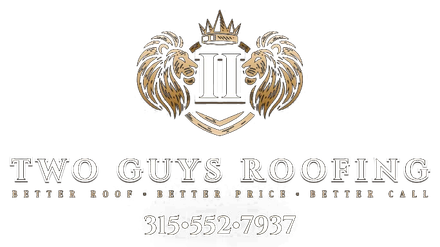 2 Guys Roofing