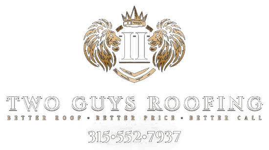 2 Guys Roofing