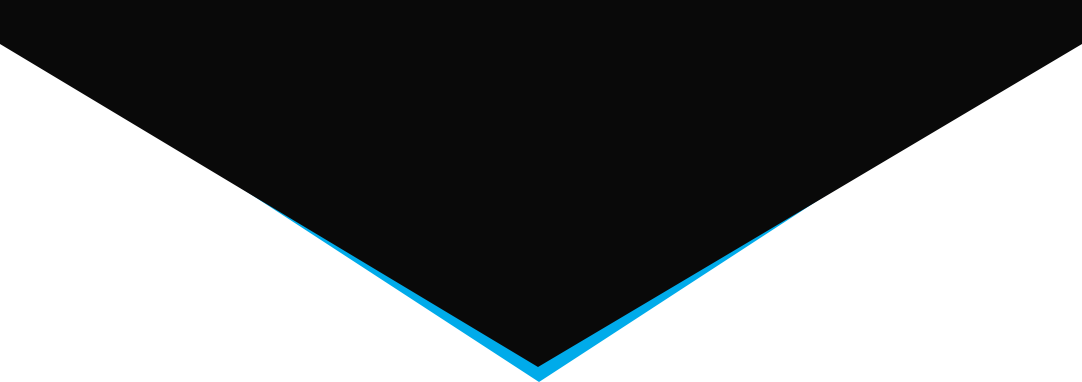 A black triangle with a blue border on a white background.