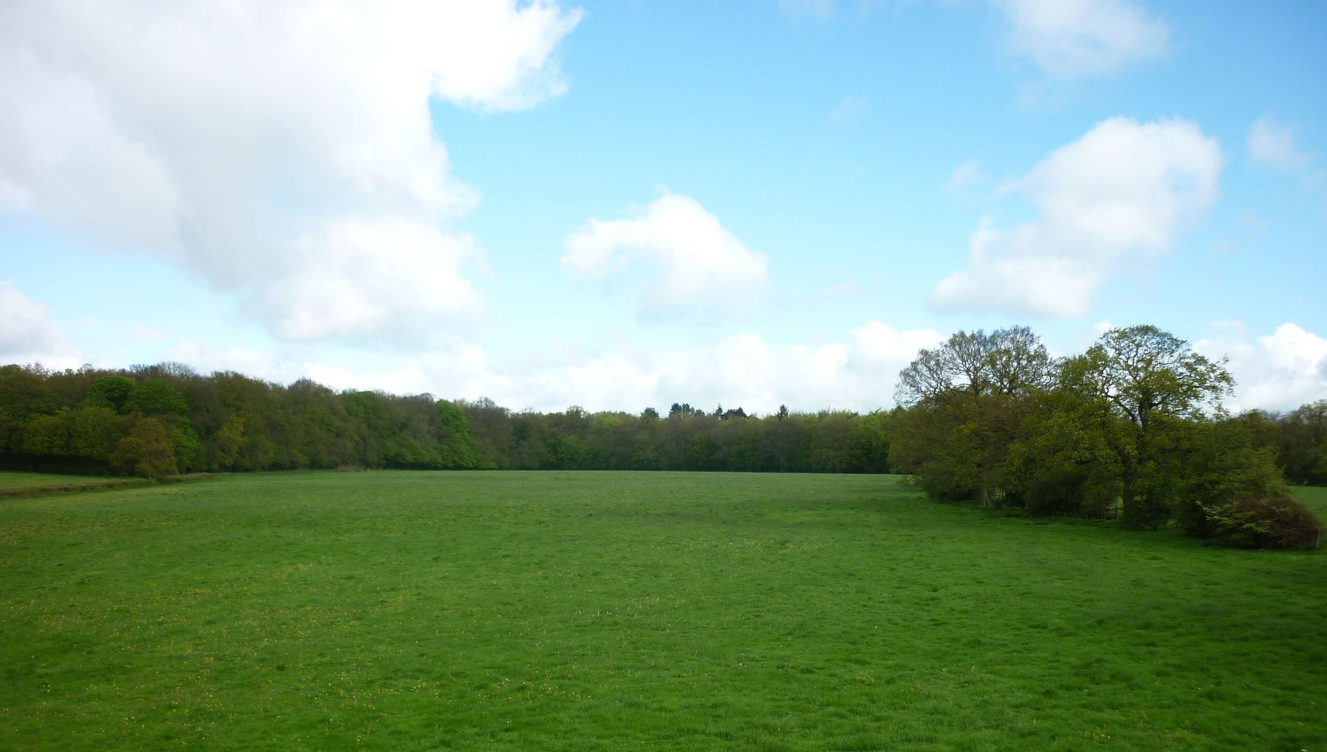 Corner Farm Campsite near Wendover Woods, Chilterms, Buckinghamshire