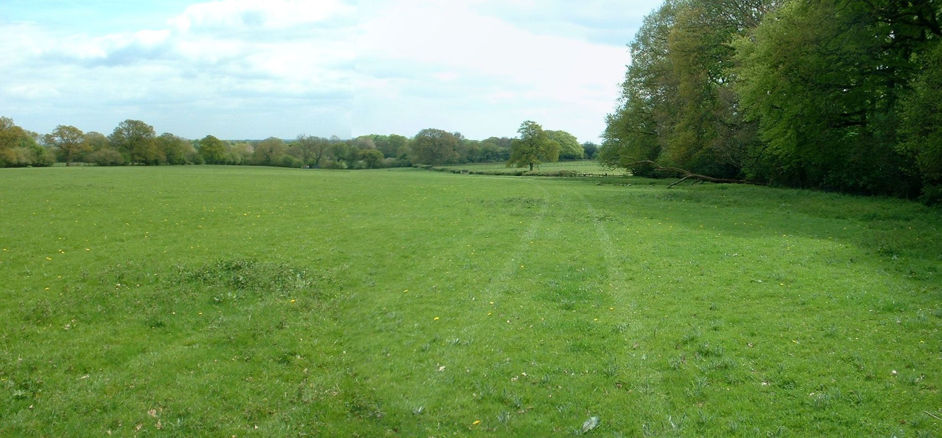 Corner Farm Campsite near Wendover Woods, Chilterms, Buckinghamshire