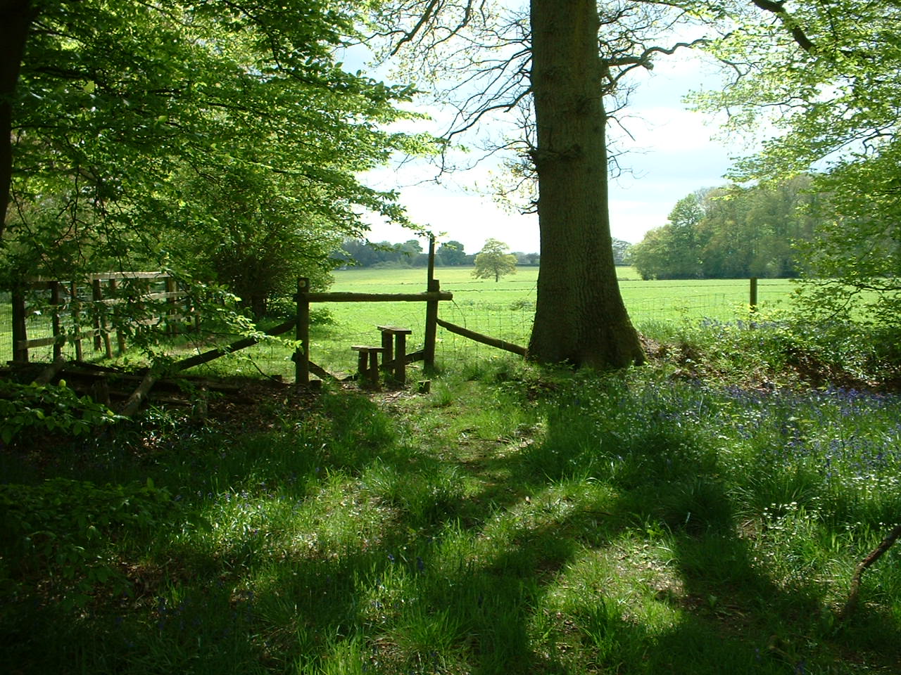 Corner Farm Campsite Stile that leads into Hale woods, Chilterms, Buckinghamshire
