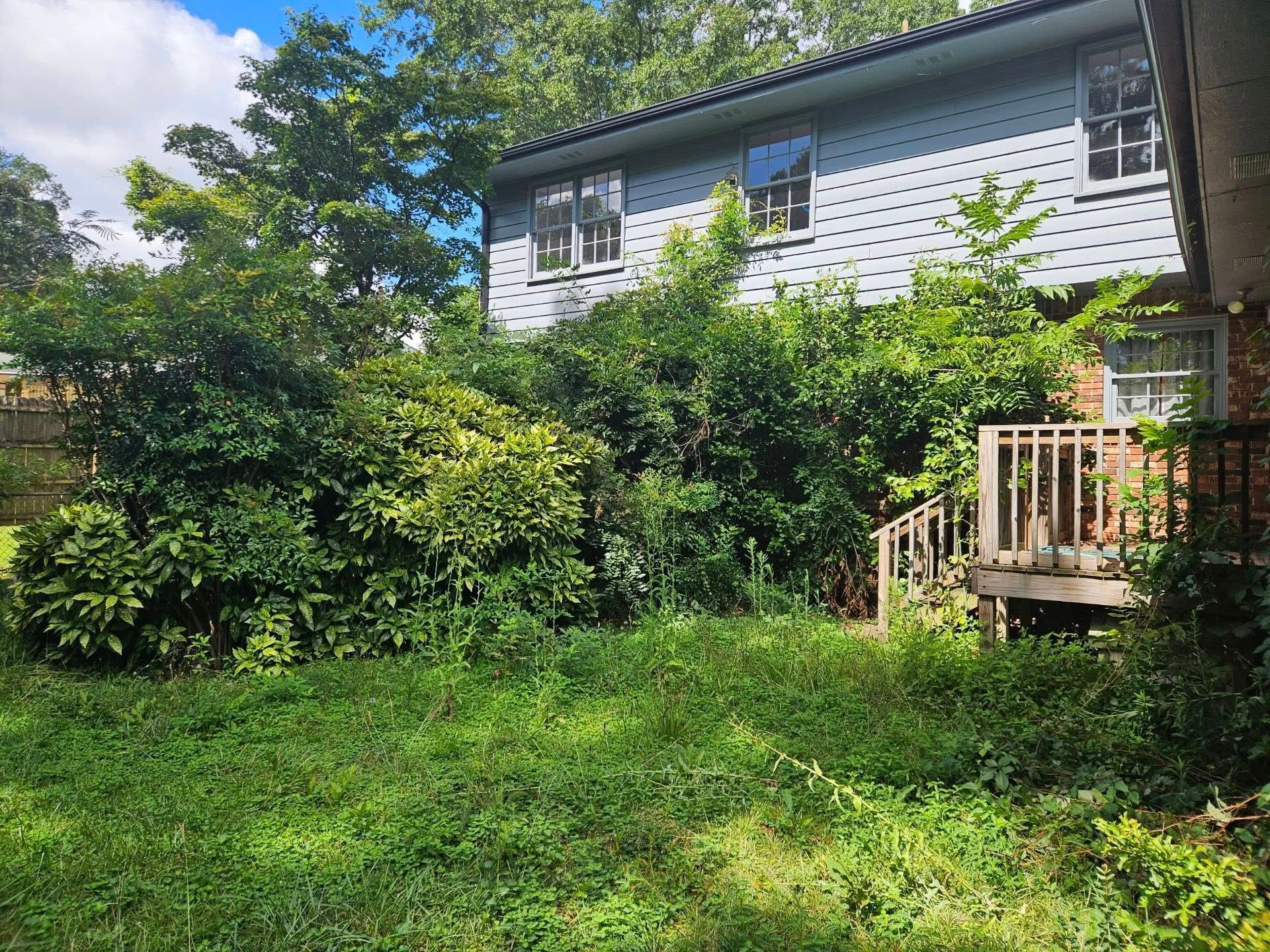 Overgrown yard with house in the background. Green bushes and grass obscure the light blue siding. Wooden deck is on the right.