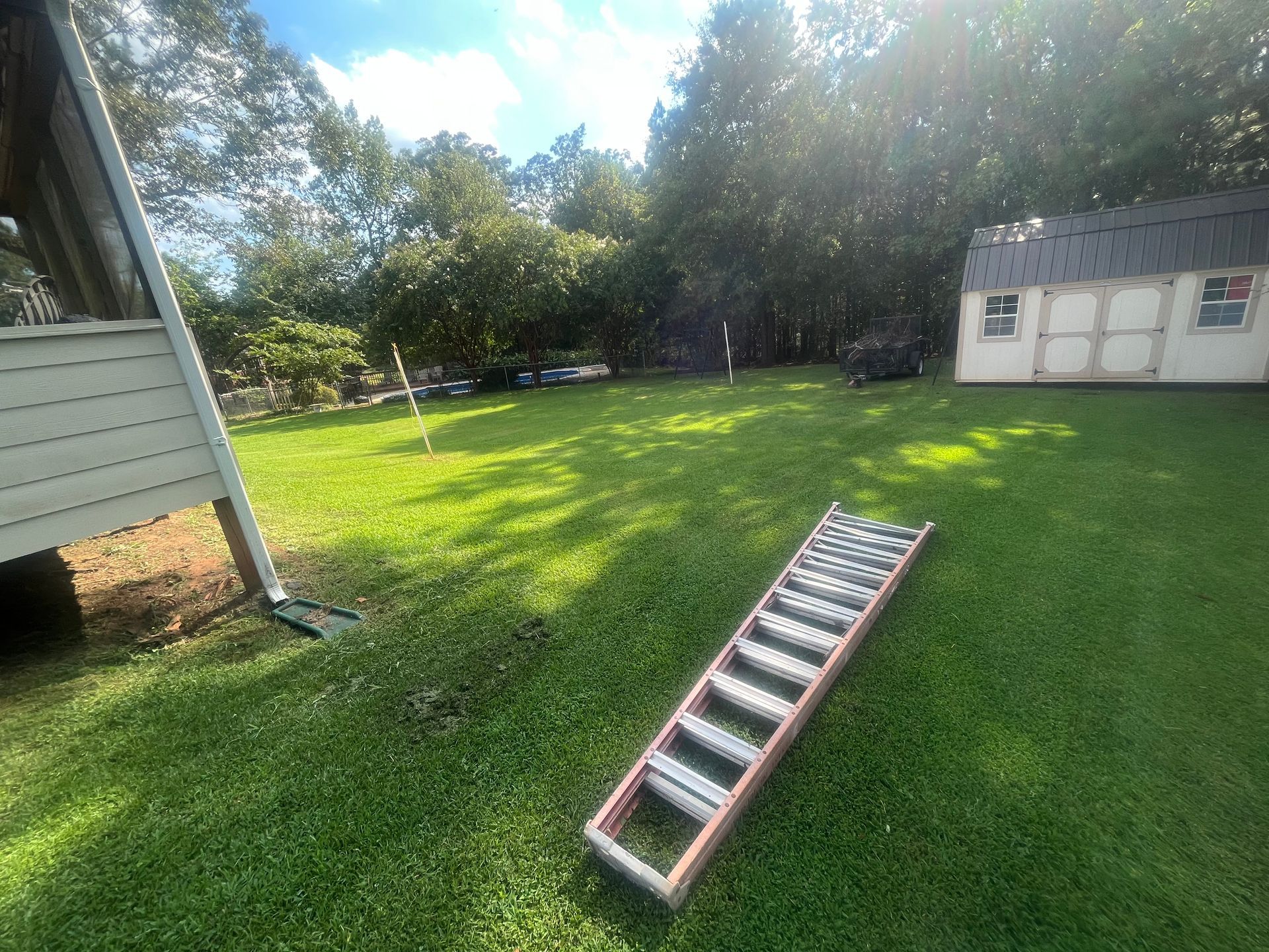 Ladder on a grassy lawn with a shed, trees, and partial view of a house. Sunny day.