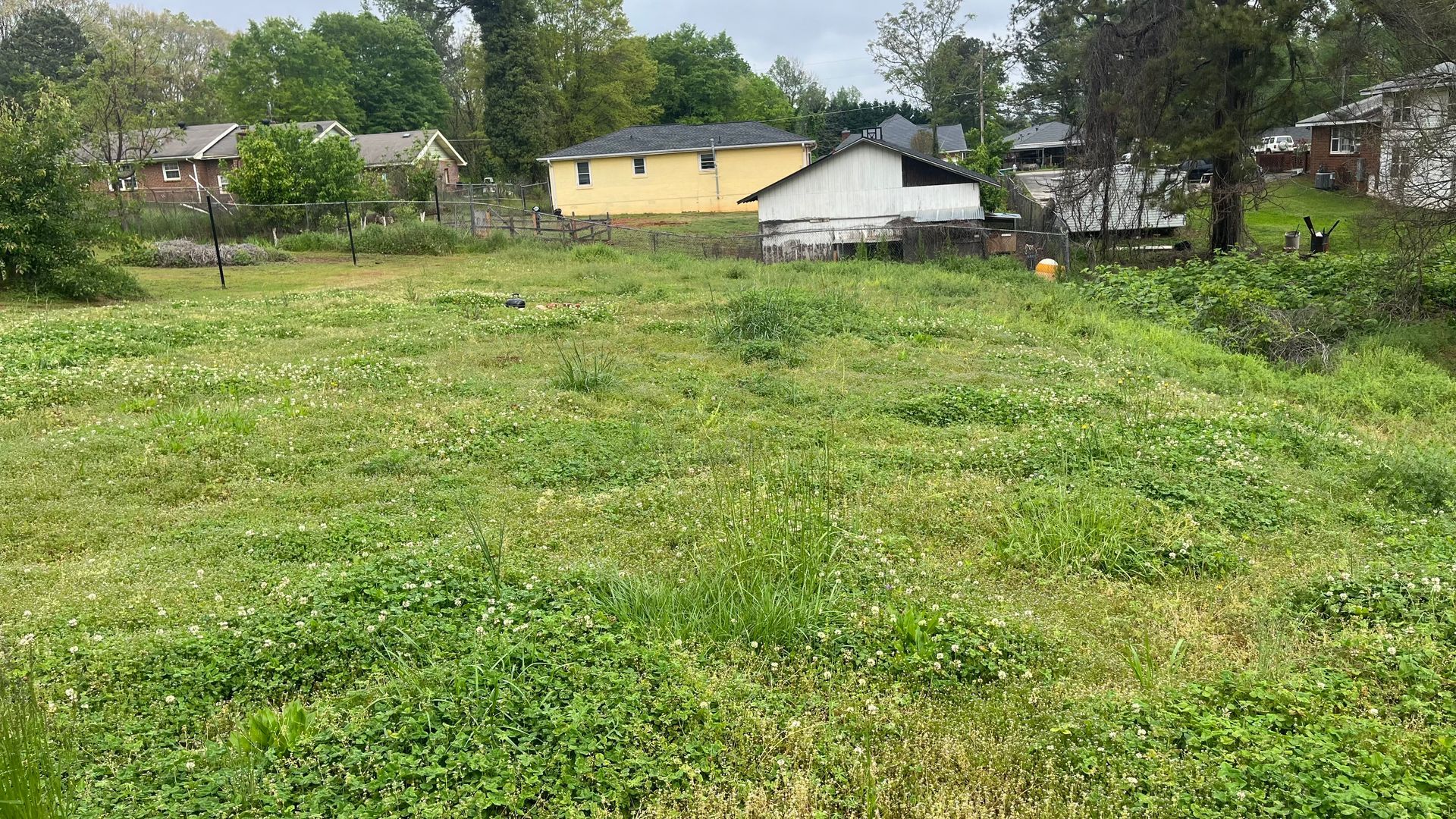 Overgrown grassy lot with several houses in the background under a cloudy sky.
