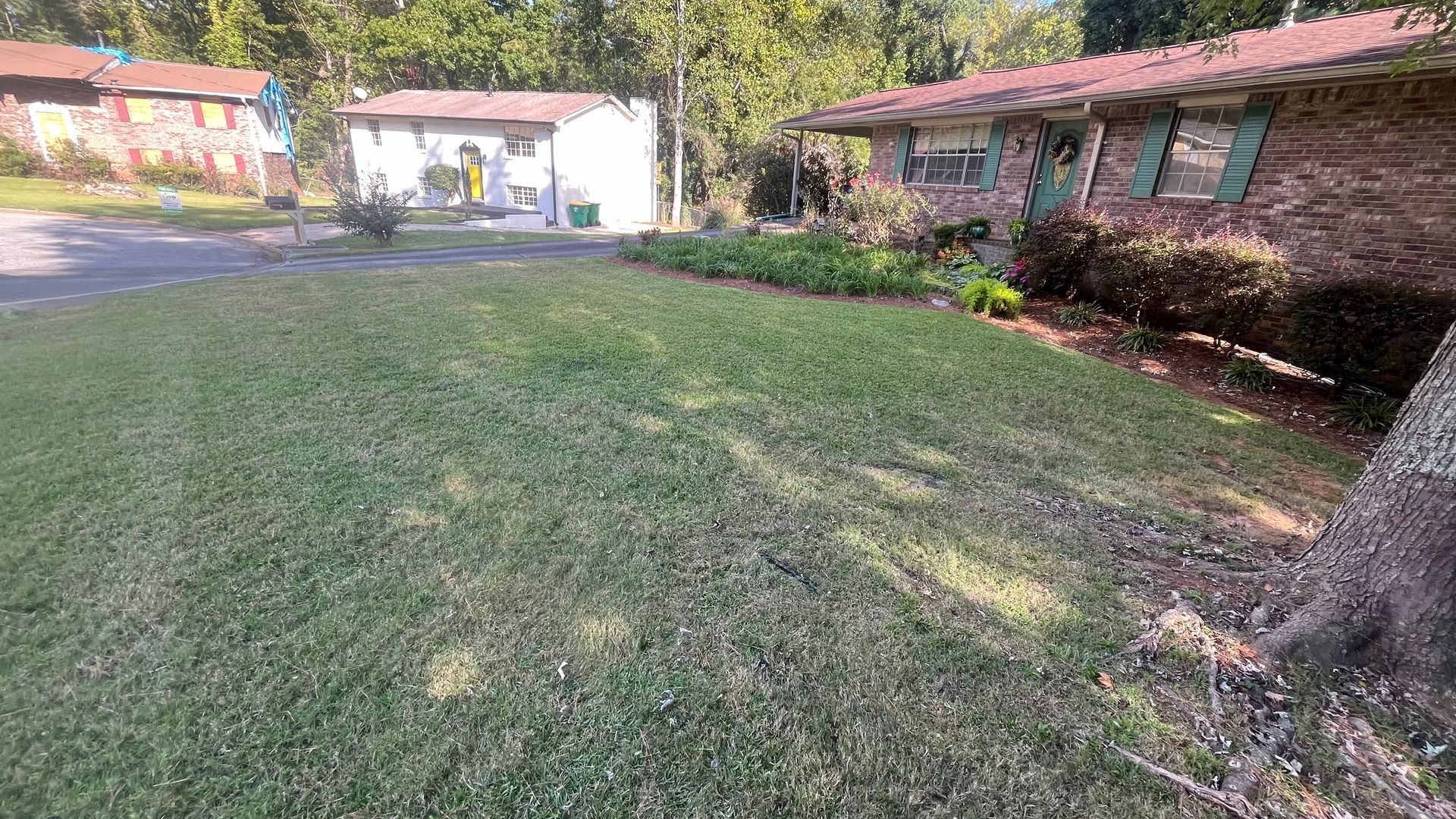 Lawn in front of a brick house with green shutters, a shed, and trees. Sunny day.