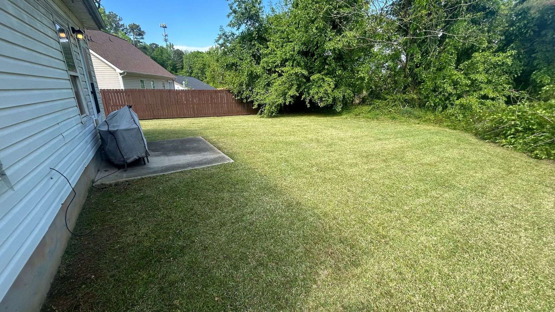 Lawn freshly mowed; backyard setting next to a house with white siding and a brown fence.