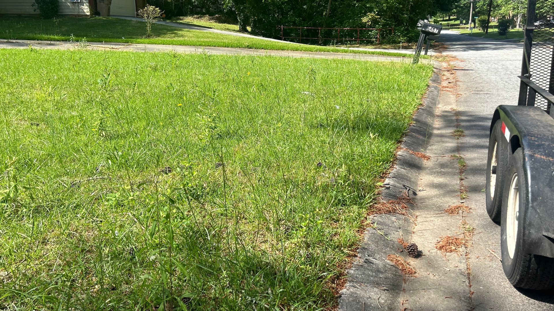 Green lawn next to a curb and a trailer; sunny, daytime setting.