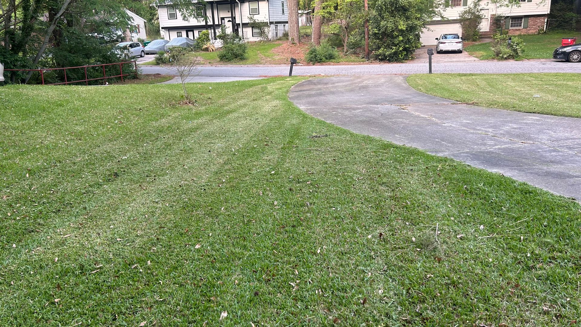 Green lawn next to a curved driveway. Buildings and trees in the background.