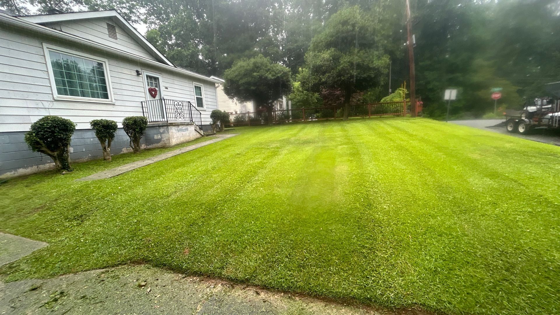 Lawn in front of a white house with bushes and trees. A street and a vehicle are in the background.
