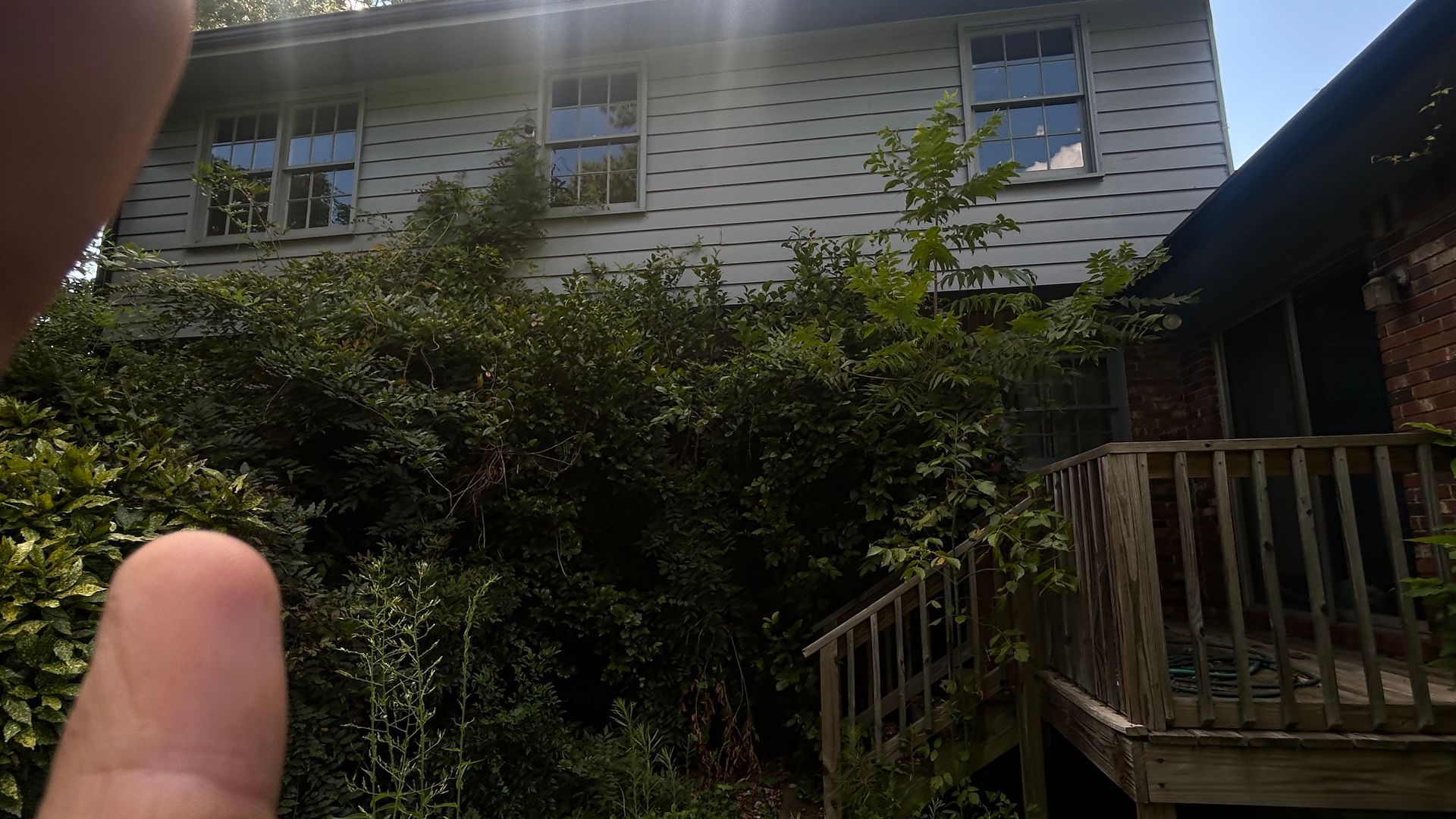 Overgrown house with two windows, a wooden deck, and a finger in the foreground against a bright sky.