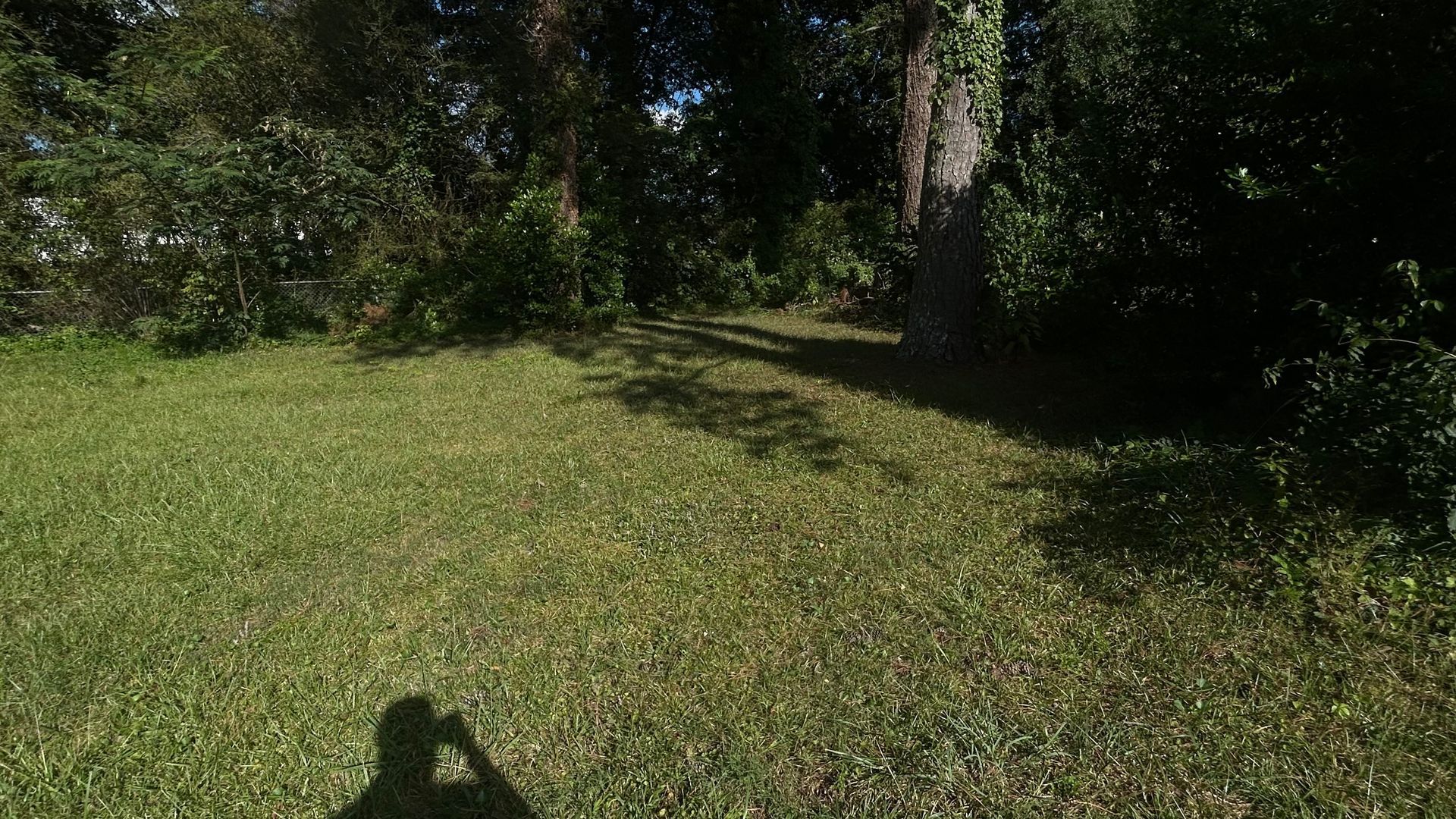 Grassy yard with trees and shadows; sunlight on the grass, a person's shadow in the foreground.