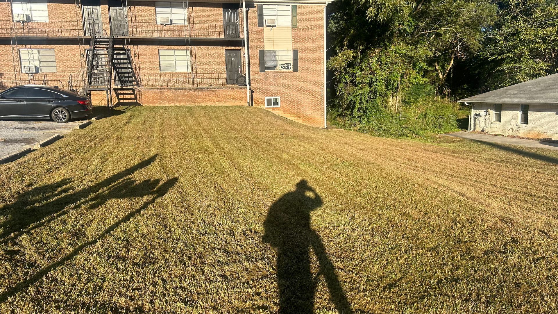 A person's shadow on a freshly mowed lawn in front of an apartment building, sunny day.