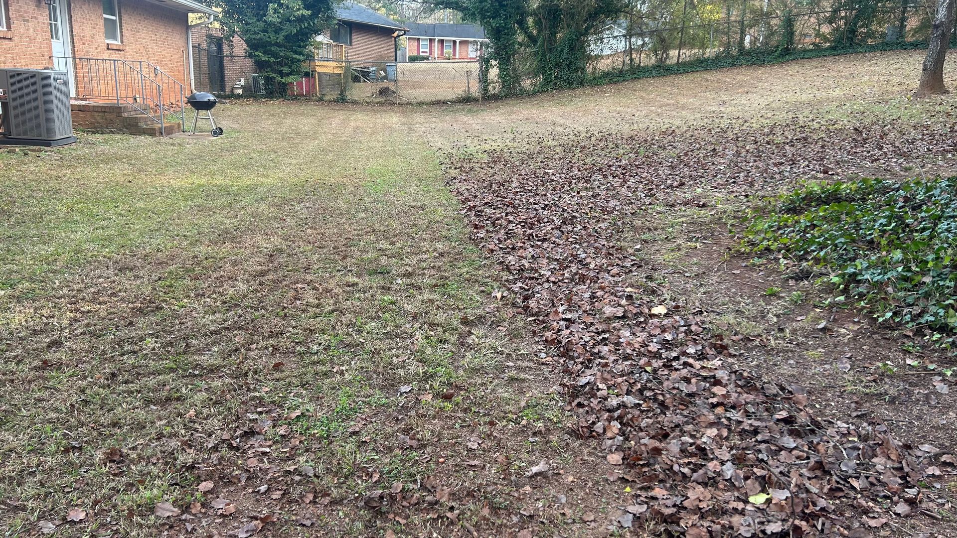 A yard with fallen brown leaves raked in a central line, with a lawn and houses in the background.