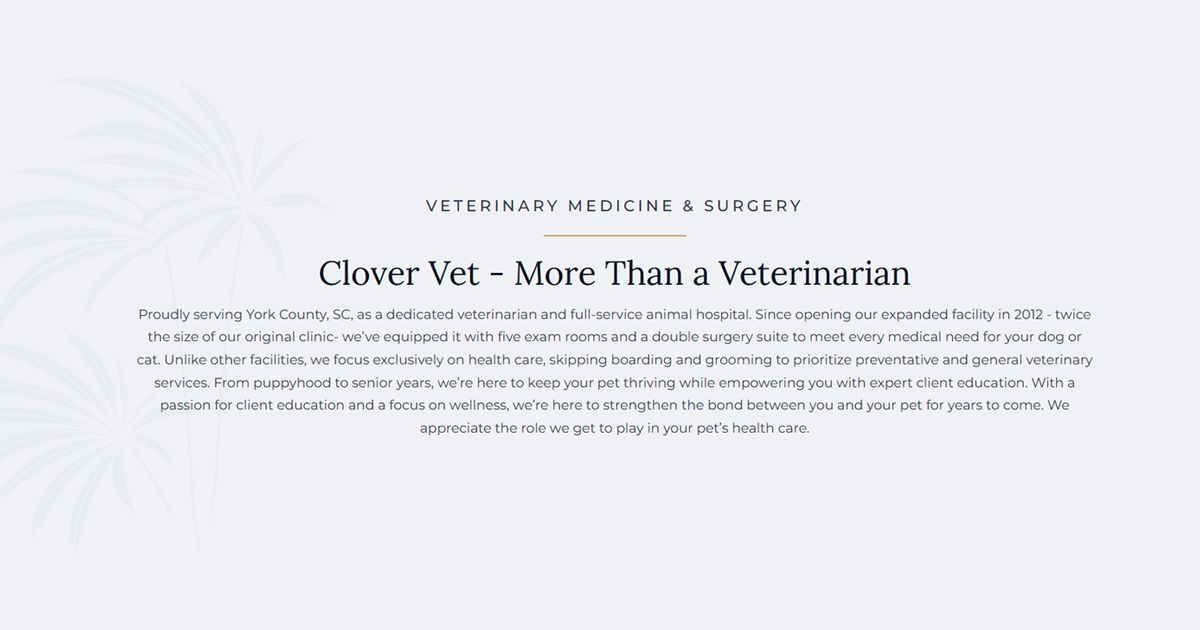 Clover Vet 2