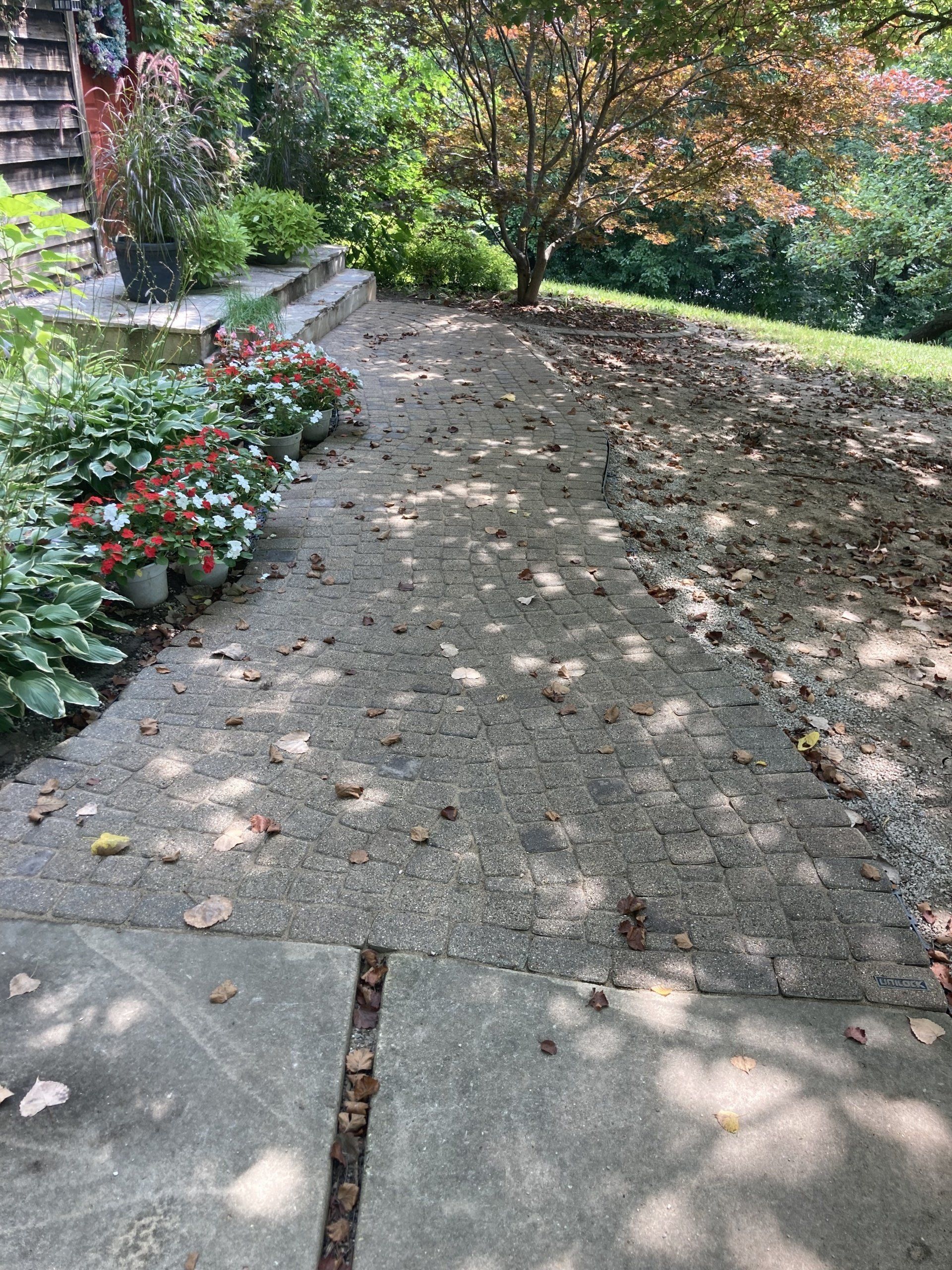 A concrete walkway surrounded by trees and flowers in a garden.