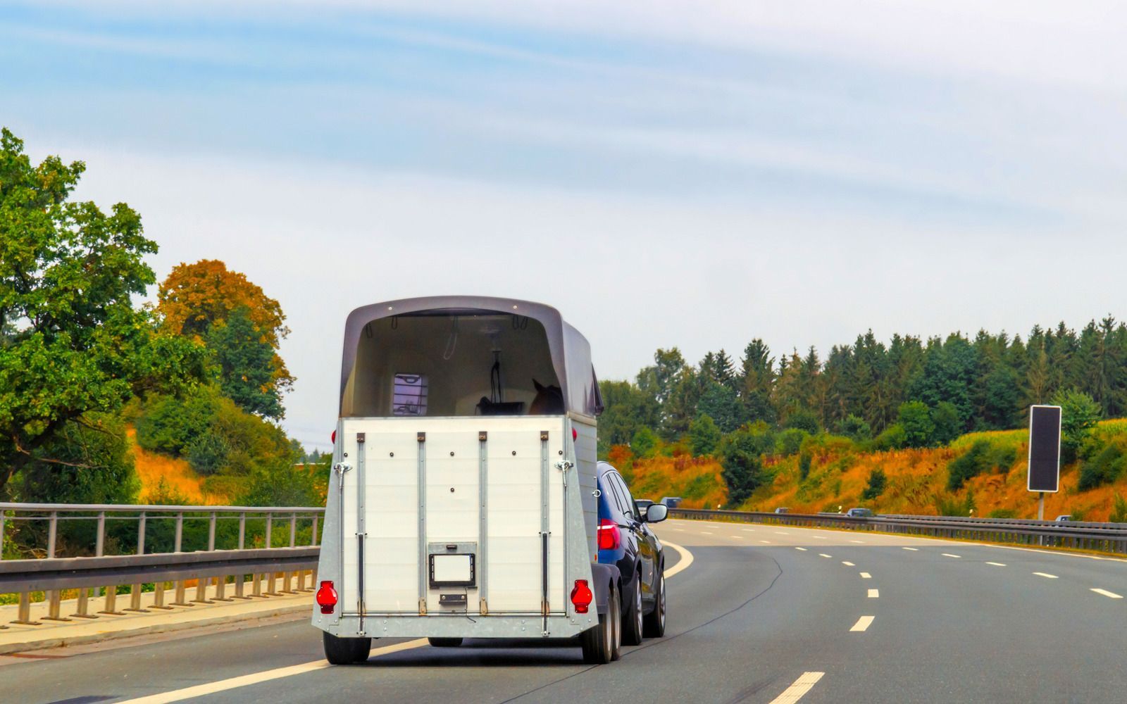 Car towing a white horse trailer on a curved highway, under a blue sky with trees.