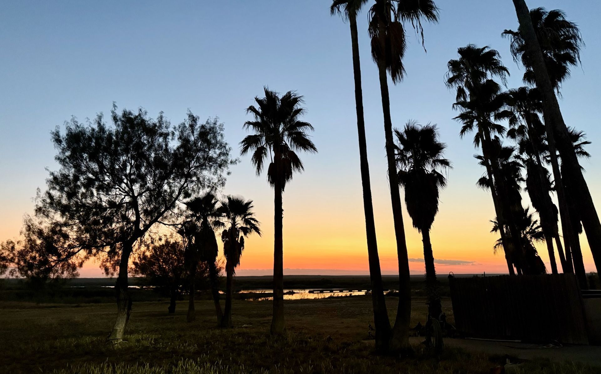 Silhouetted palm trees against a sunset with orange and blue hues.