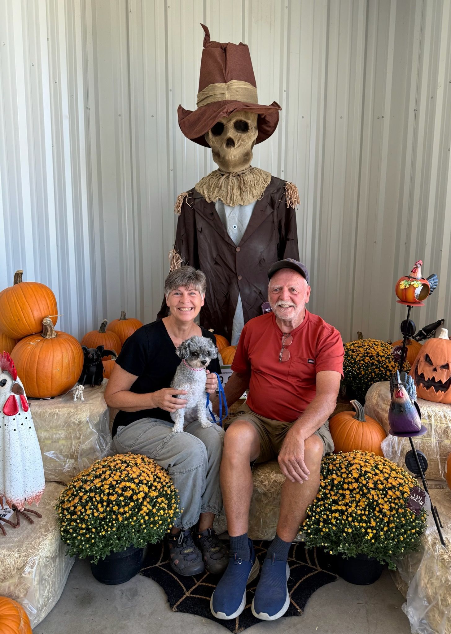 Couple with a small dog sits with pumpkins and scarecrow decoration.