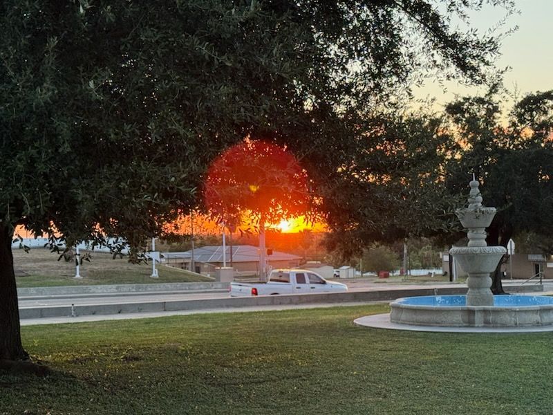 Sunset through a tree, over a park with a fountain and a white truck.
