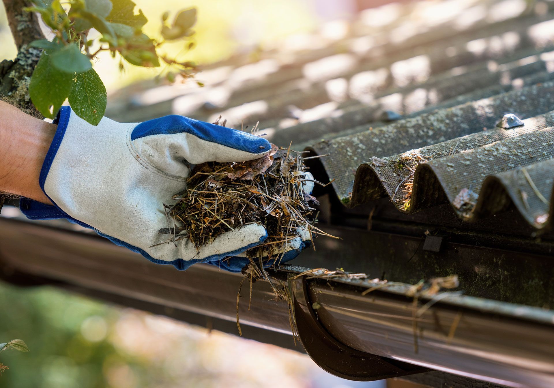 Person wearing gloves, cleaning debris from a rooftop gutter.