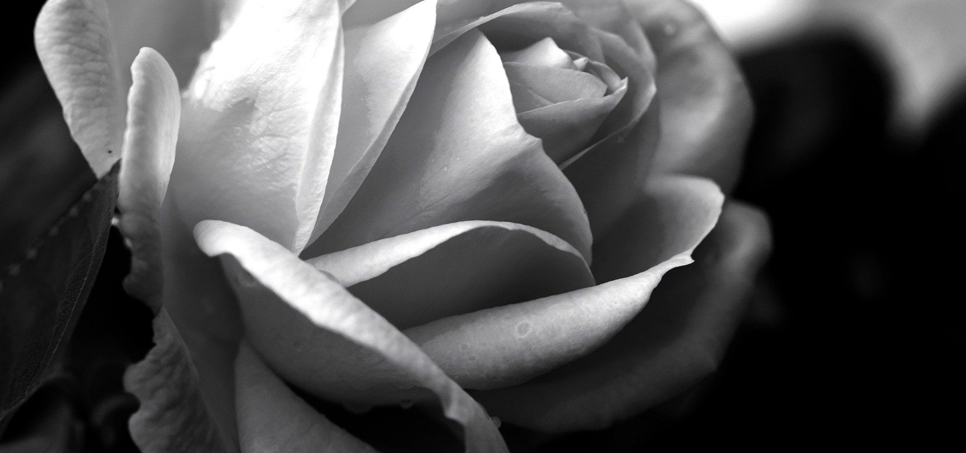 Plummer Funeral Home Augusta Windsor, ME