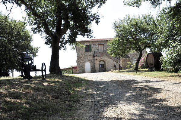 struttura dell'azienda agricola
