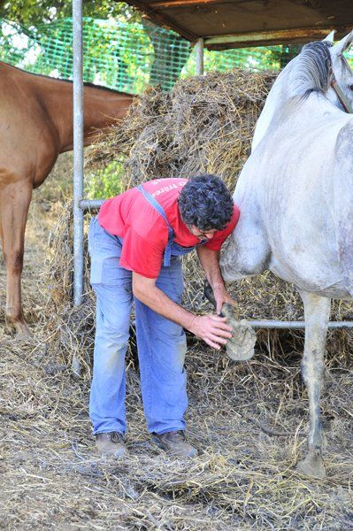 staff dell'azienda agricola