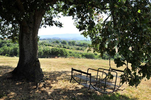 agriturismo immerso nella natura
