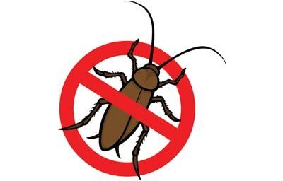 No Roach - Pest Control in Cape Coral, FL