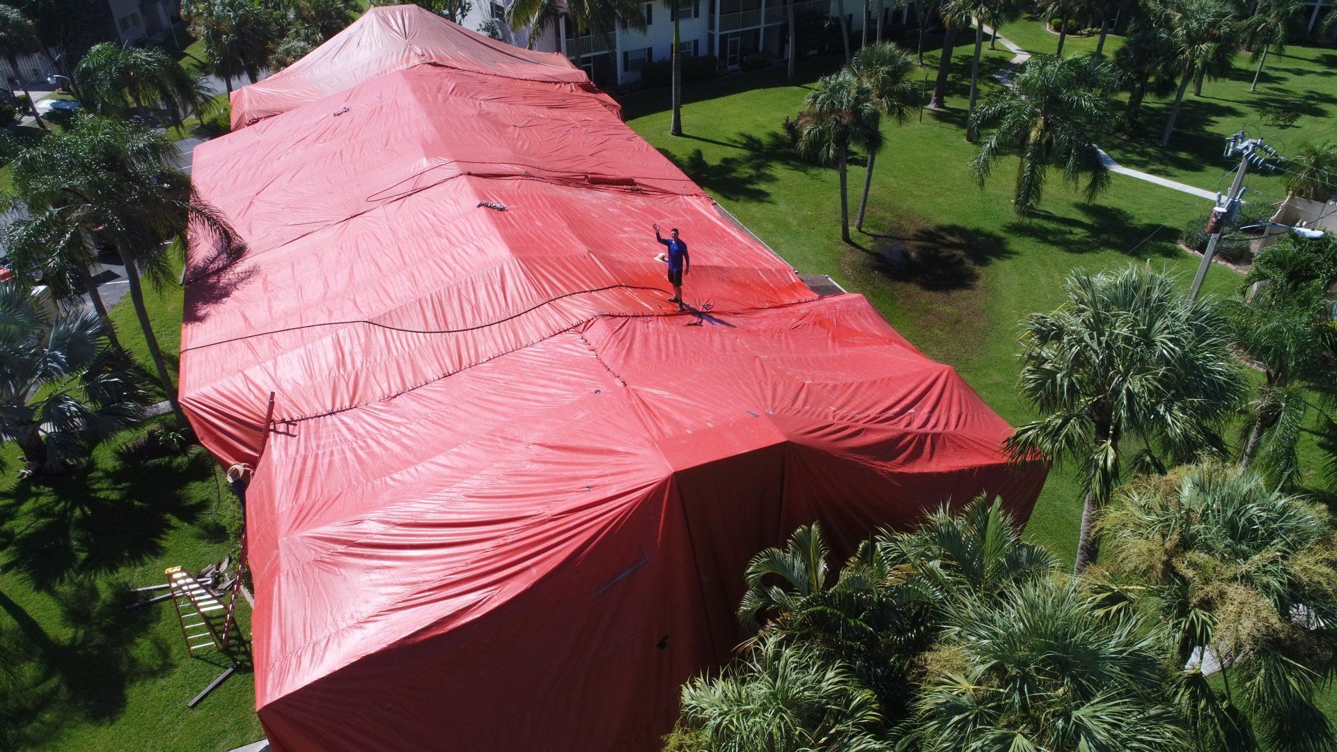 Pestilence — Man standing on the Roof in Cape Coral, FL