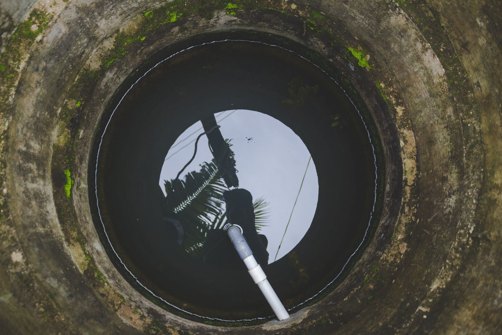 how to eliminate grease trap odors