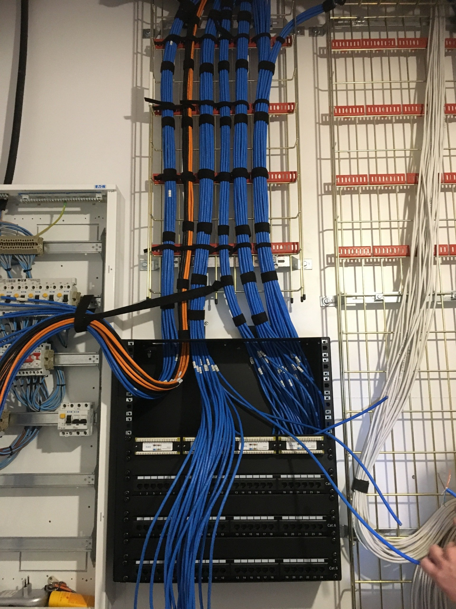 A photograph of a patch panel with 100 data cables entering into the top of the patch panel