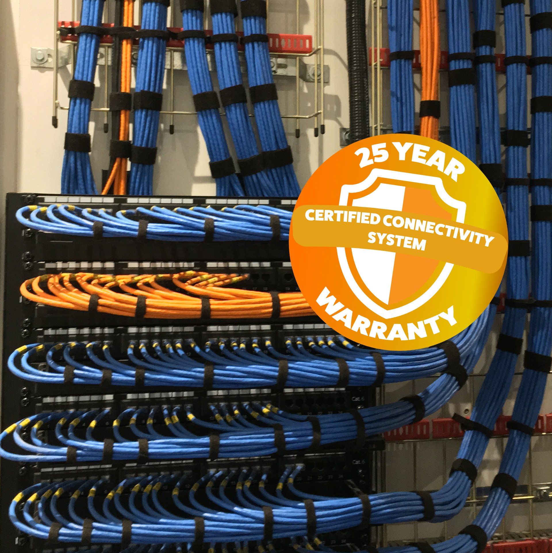 Photograph of patch panel and 25-year warranty badge