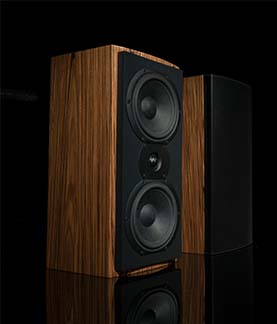 Close up photograph of a speaker