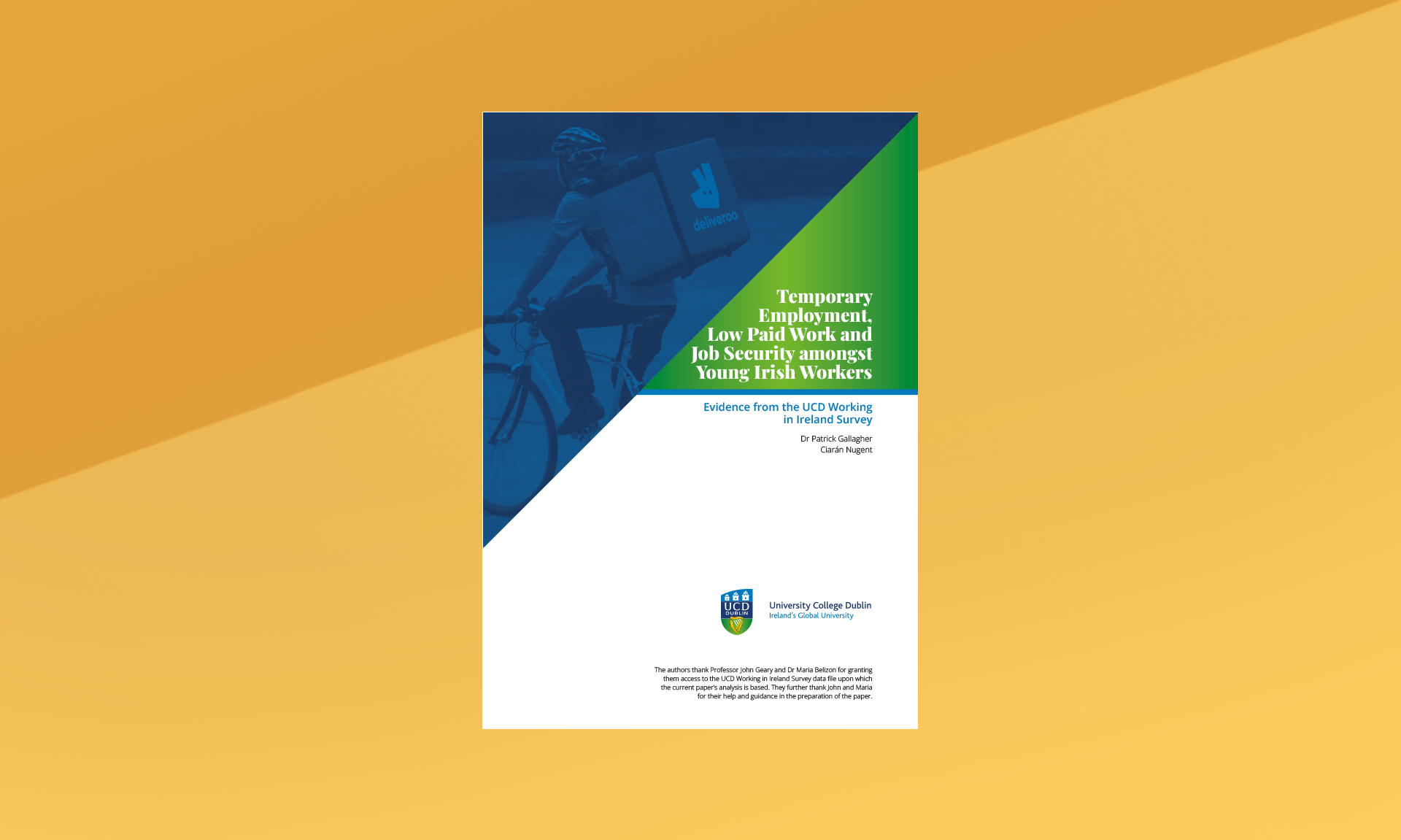 UCD Report Design